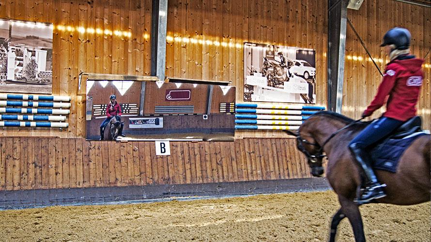 Riding halls - riding hall mirror