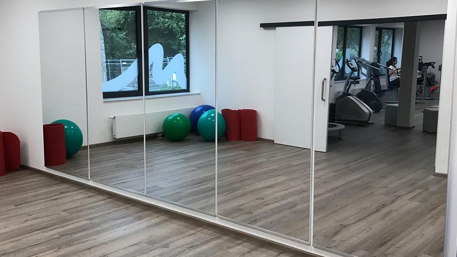 Fitness & Physiotherapy Aktiv Holterbosch - gym mirror